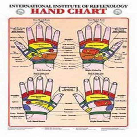 Reflexology Charts