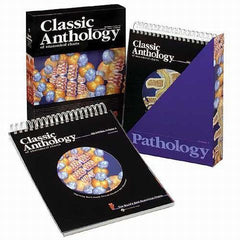 Anatomical Chart Series