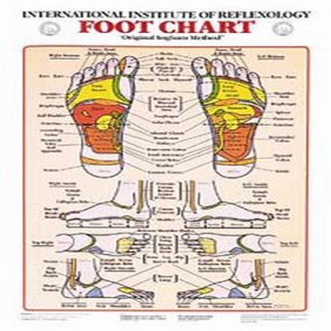 Reflexology Charts